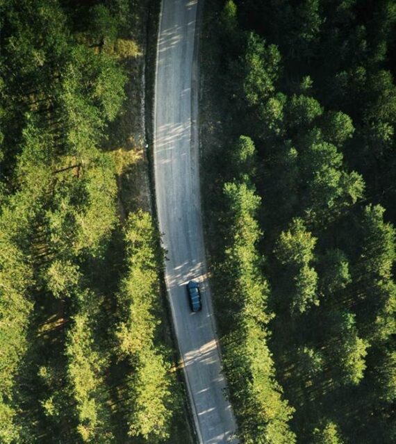 top-view-of-single-gray-car-driving-through-forest-2022-02-02-03-58-51-utc-Copy-Copy-2-570×639